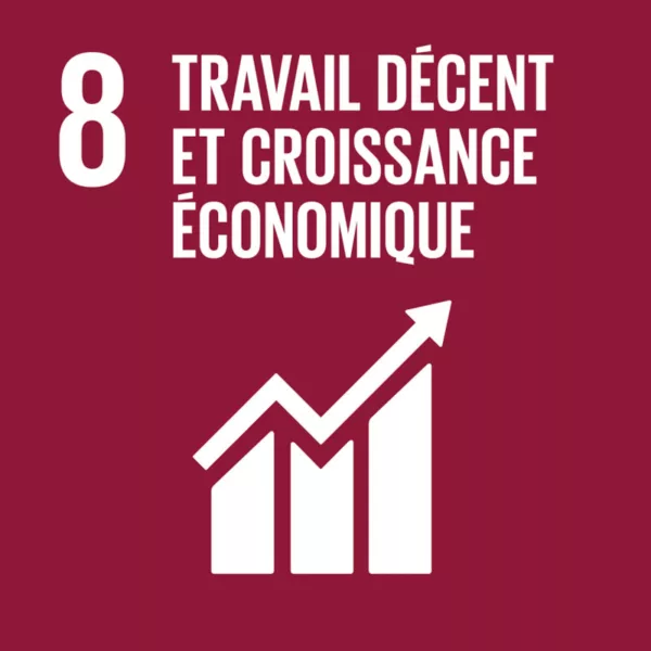 Travail décent et croissance économique Travail décent et croissance économique