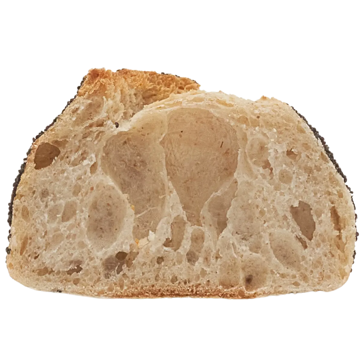 Baguette pavot