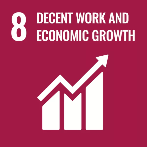 Decent work and economic growth Decent work and economic growth