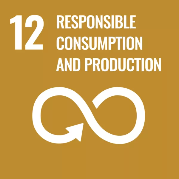 Responsible consumption and production Responsible consumption and production