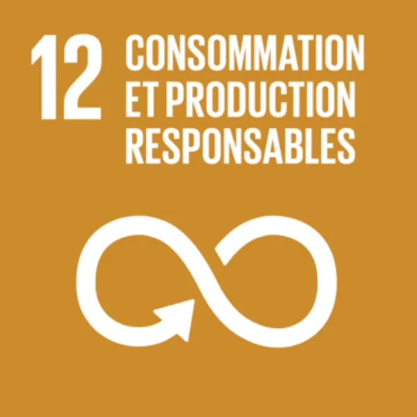Consommation et production responsables
