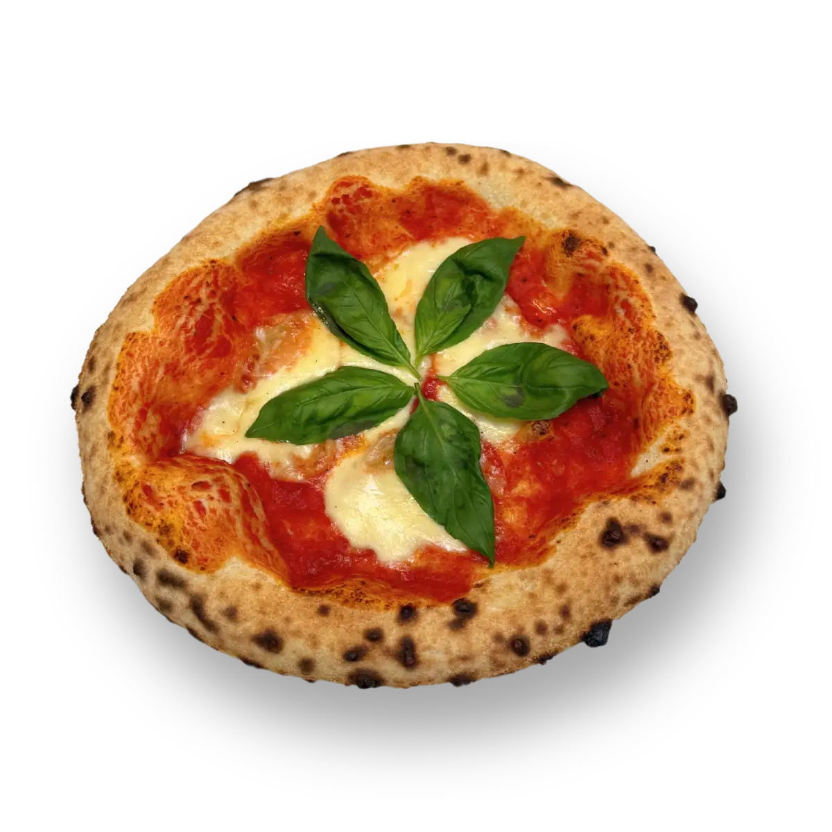 La Nonna Dough Ball